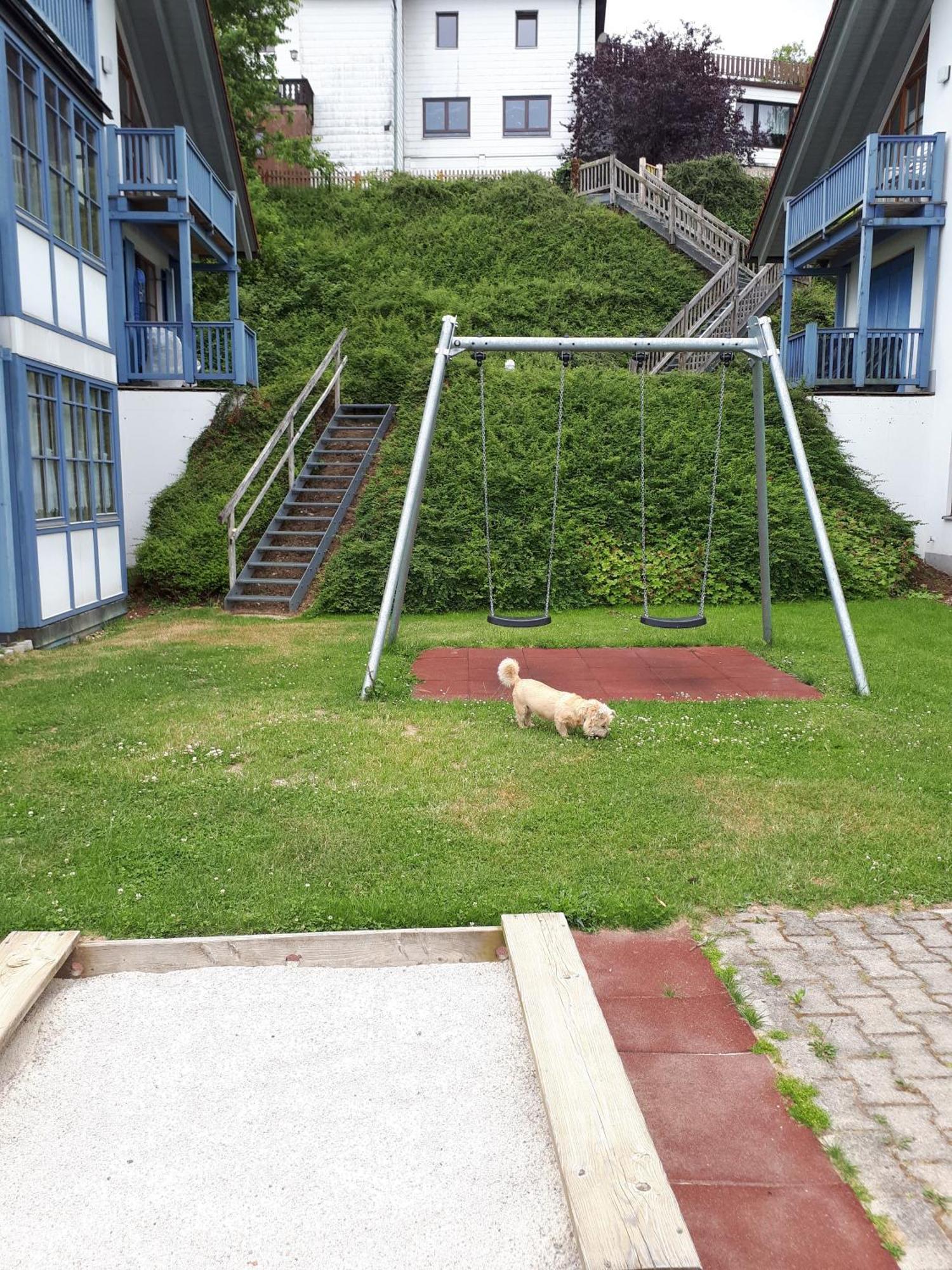 Apartment Ferienapartment 38 Sonnenwald