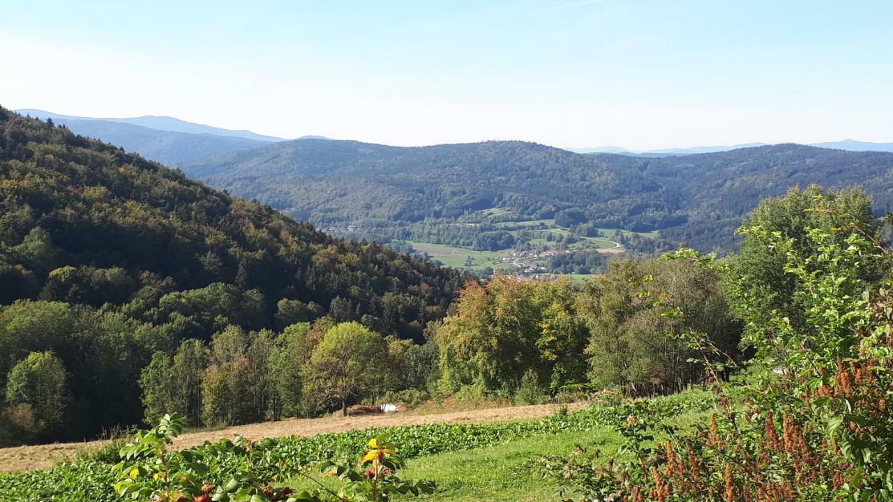Apartment Ferienapartment 38 Sonnenwald Langfurth (Freyung-Grafenau)